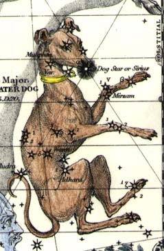 Lelaps, Canis Major